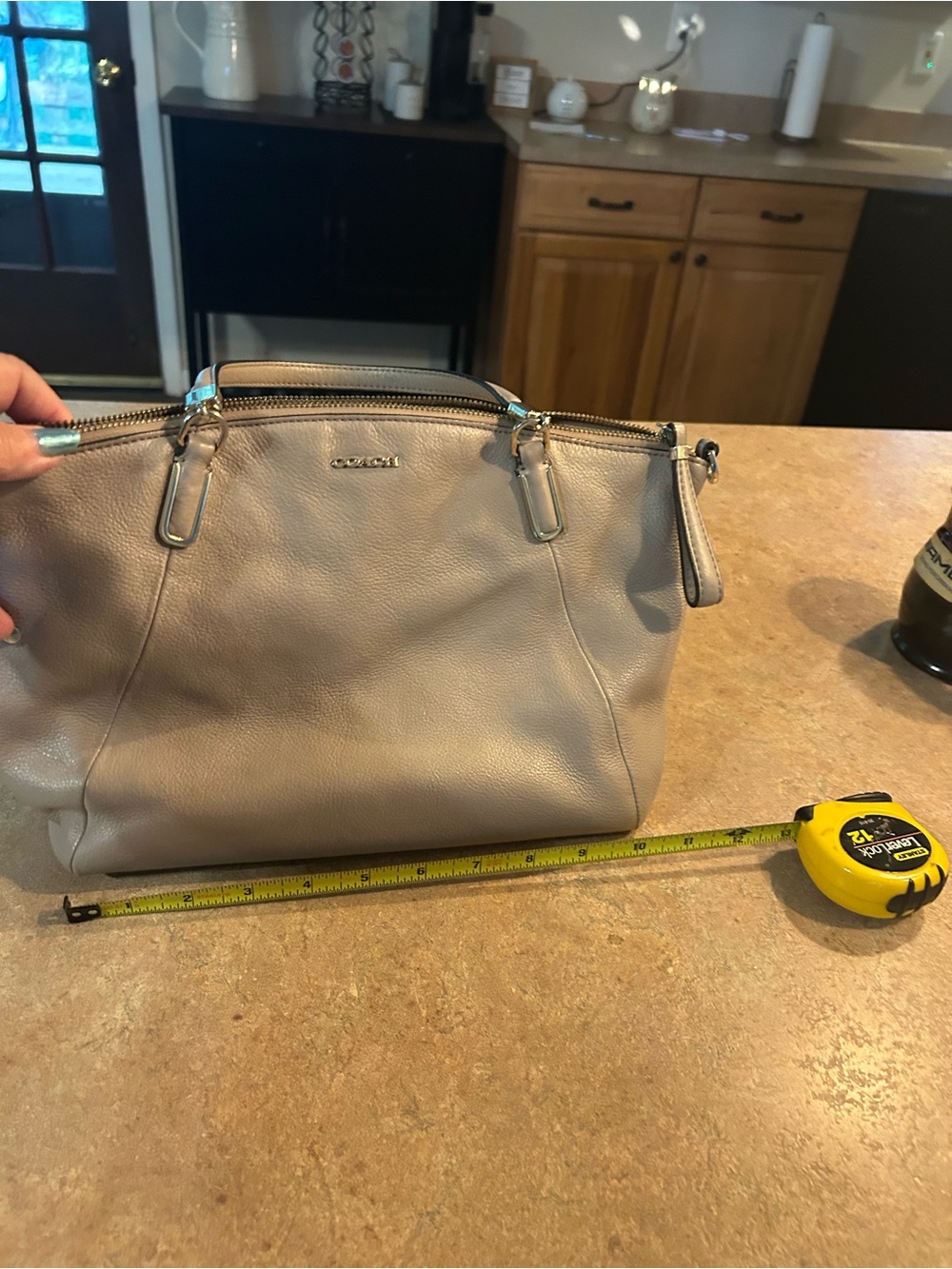 Coach Leather Shoulder Bag in Taupe